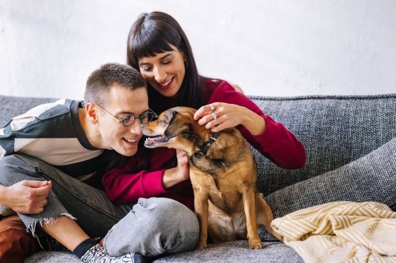 What Are the Different Types of Furnaces? Photo of a couple sitting on the sofa, playing with their dog.