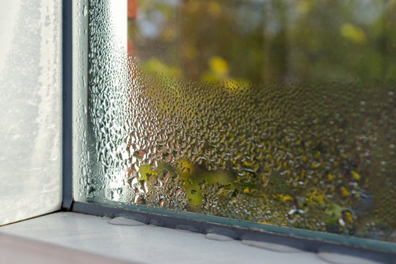 Why You Need Whole-House Humidity Control. Condensation on the inside of a window.